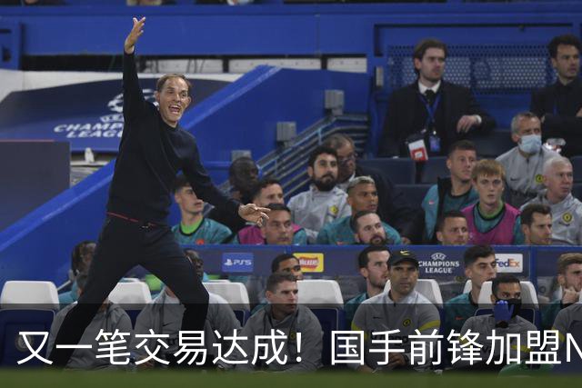 又一笔交易达成！国手前锋加盟NBL联赛，新赛季率队全力冲击CBA